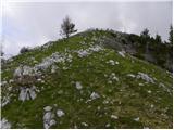 Golnik - Tolsti vrh